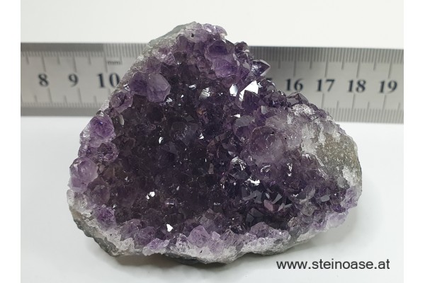 Amethyst Drusenstück  Uruquay